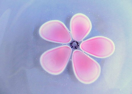 Glass Studio BiBi＊ガラスの花びら皿