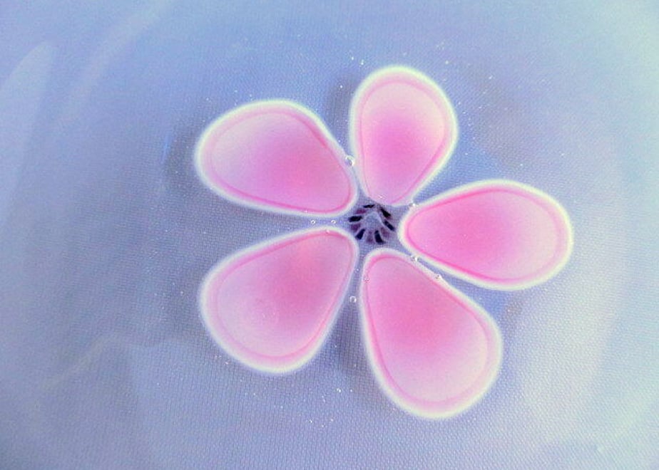 62fd02aa5d05ec352466b022