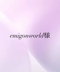 emigonworld様専用