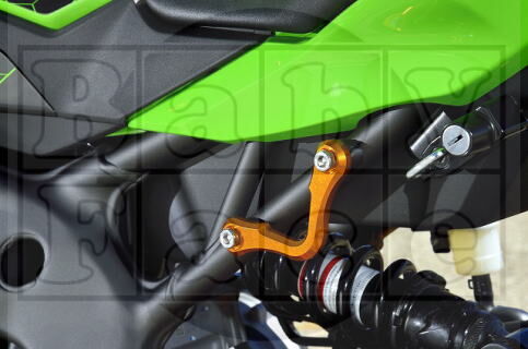 ぶーちゃんページ Webike | BABYFACE ベビーフェイス レーシングフック ZX-10R(005