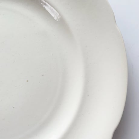 FOOD FOR THOUGHT  Paperwhite 花リムプレートL