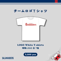 チームロゴTシャツ(白)