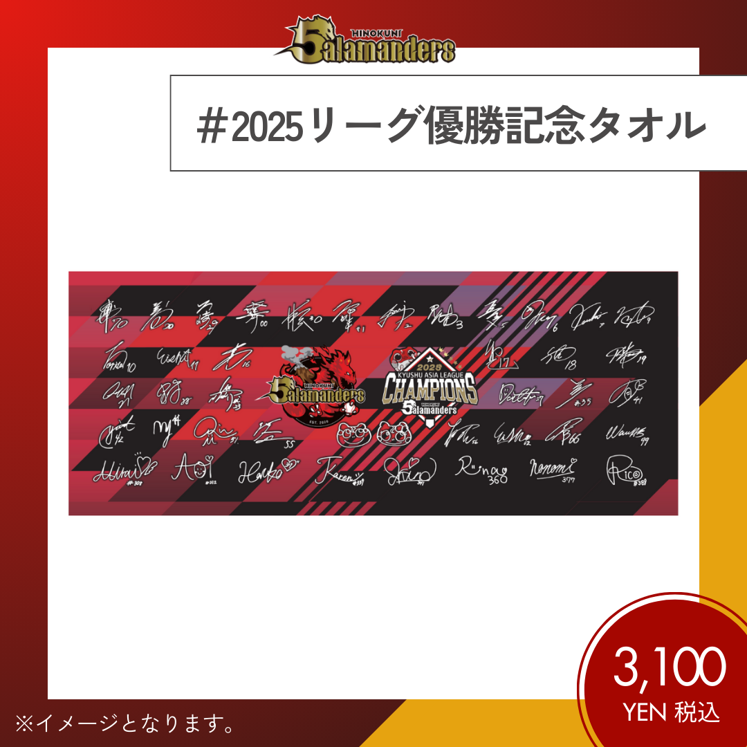 【非売品】オーナーズリーグ2013 記念グッズ 6/14(土)鳥栖戦】「勝ちユニ」「勝利記念グッズ」販売のお知らせ