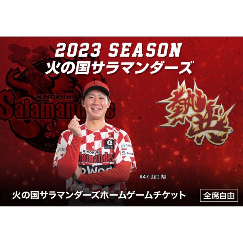 2023 １5枚チケット+VIP PASS(1枚）【限定１００】 | 火の国サラマンダーズ