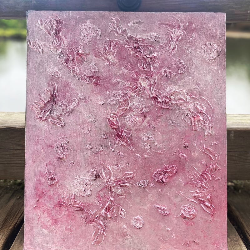 双樹沙羅 サラソウジュ（沙羅双樹）の種 - マルシェ青空