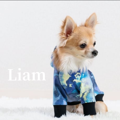 犬服  ラグラン(Ｓ)   ꒡̈⃝Lily꒡̈⃝ハンドメイド みつ 様専用 ꒡̈⃝Lily꒡̈⃝犬服ハンドメイド - メルカリ