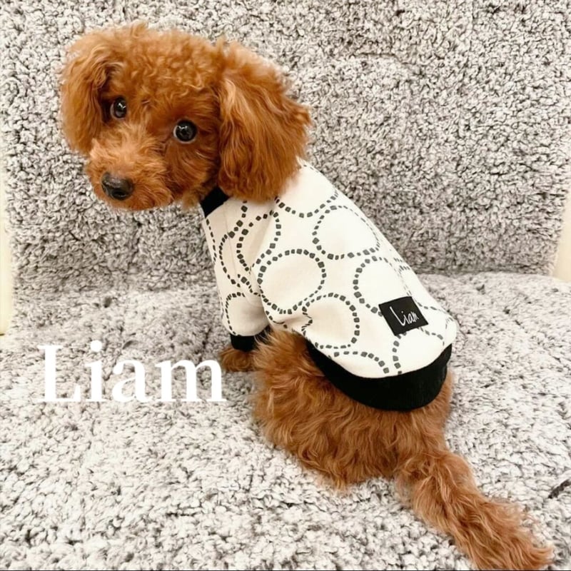 familiar ネイビー Tシャツ 女の子と犬刺繍　新品未使用　150cm Tシャツ | ファミリア公式サイト