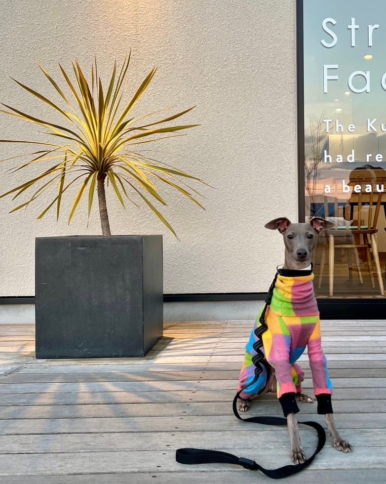 fit=scale-down,w=1200