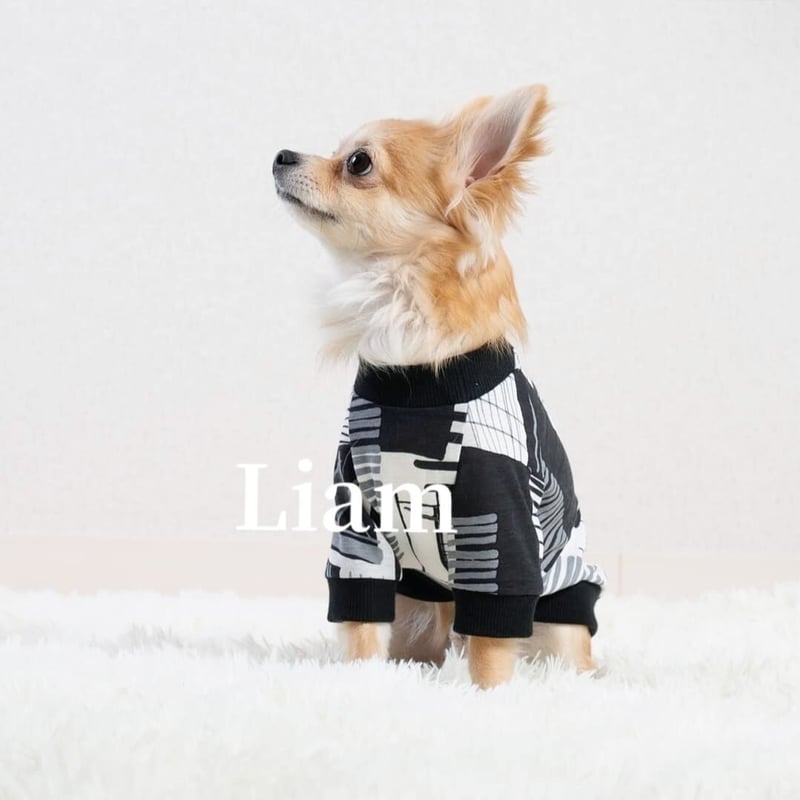 犬服・モノトーンTシャツ【小型犬】送料込 | Liam dogshop