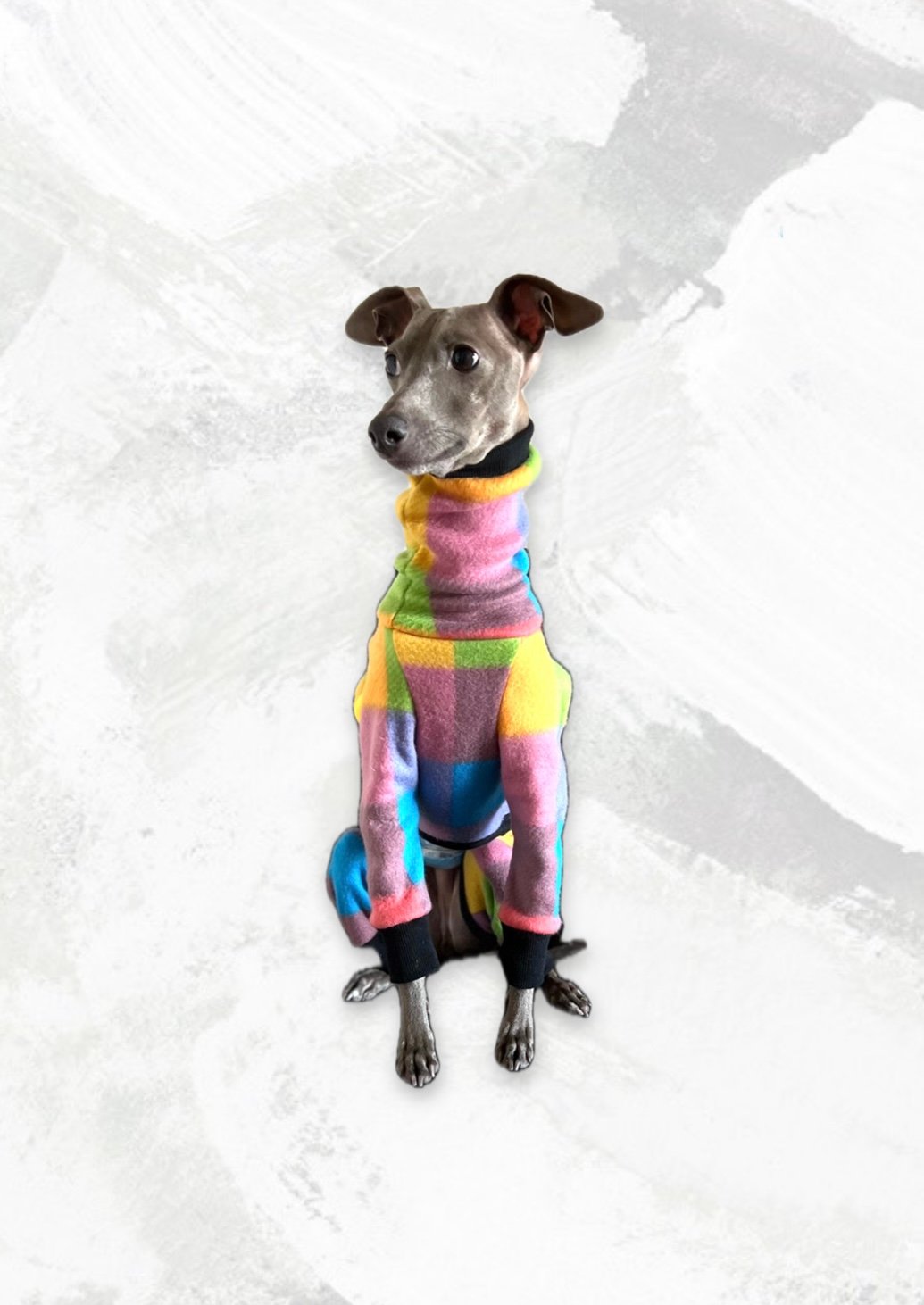 New マルチカラーロンパース 【イタグレ用】送料込 | Liam dogshop