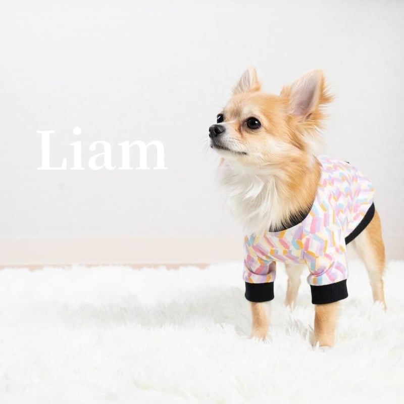 犬服・パステルデザインTシャツ【小型犬】送料込 | Liam dogshop