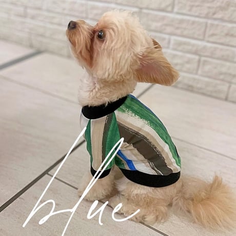 みつ  ꒡̈⃝Lily꒡̈⃝犬服ハンドメイド Liam dogshop