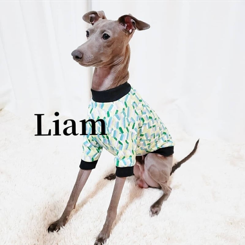 イタグレ服・パステルデザインTシャツ【送料込】 | Liam dogshop