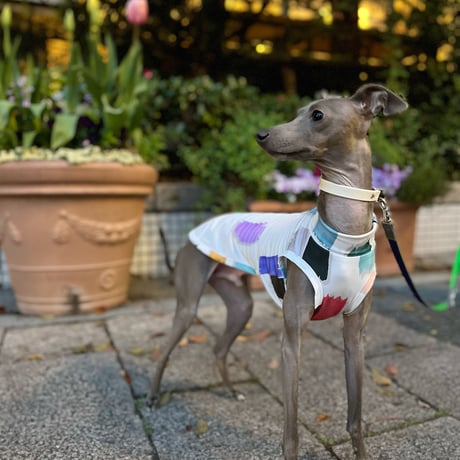 犬服  ラグラン(Ｌ)   ꒡̈⃝Lily꒡̈⃝ハンドメイド  在庫処分品 ꒡̈⃝Lily꒡̈⃝犬服 お問合せページ ꒡̈⃝꒡̈⃝꒡̈⃝