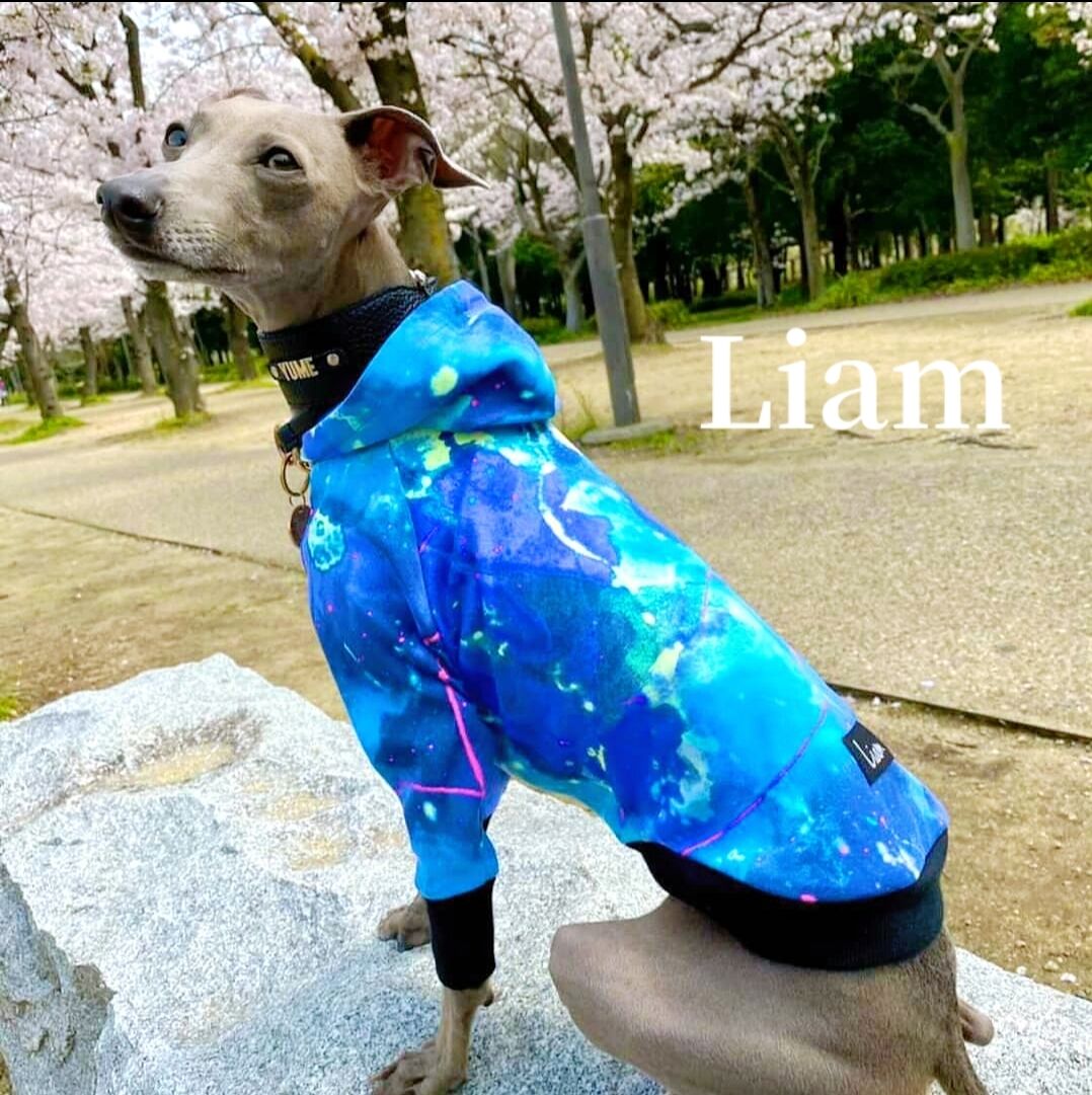 ウォッシュデニムパーカー　イタグレ服　ハンドメイド ウォッシュデニムパーカーイタグレ服ハンドメイド