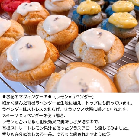アースマフィンケーキセット【8個入り】