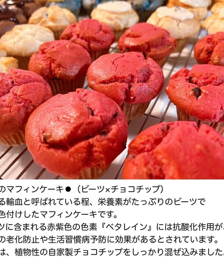 アースマフィンケーキセット【8個入り】