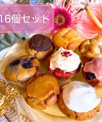 GUAM×STELLA マフィンケーキセット【16個入り】