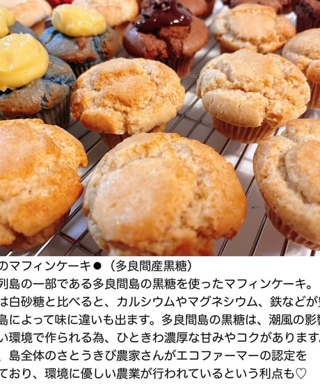 アースマフィンケーキセット【8個入り】