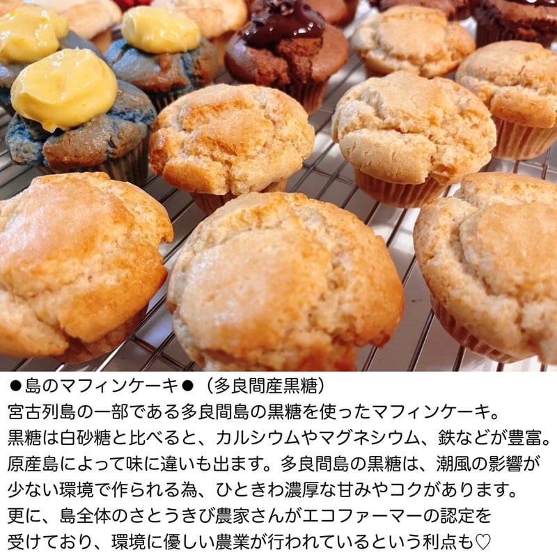 アースマフィンケーキセット【8個入り】 | Stella sweets