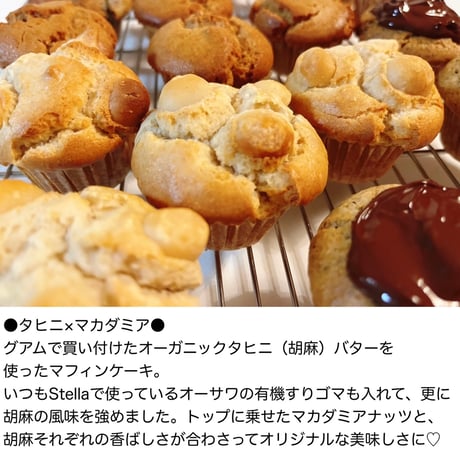 GUAM×STELLA マフィンケーキセット【16個入り】