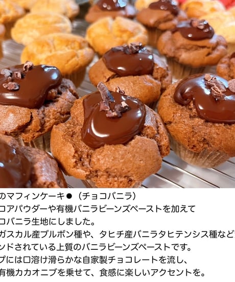 アースマフィンケーキセット【8個入り】