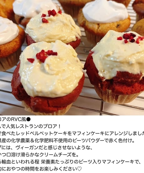 GUAM×STELLA マフィンケーキセット【16個入り】