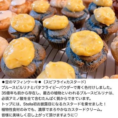 アースマフィンケーキセット【8個入り】