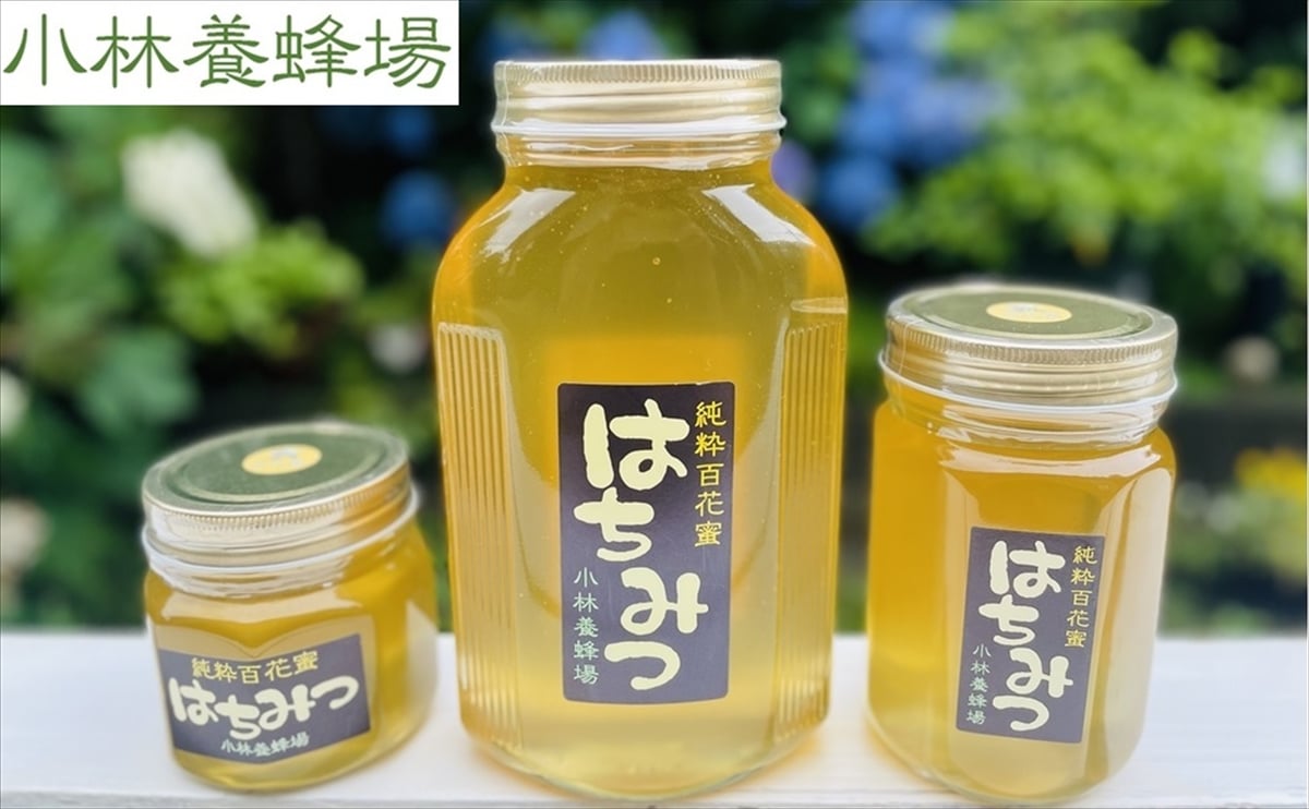 小林養蜂場] 2025年 新蜜 はちみつ 純粋百花蜜 非加熱 天然100%純粋