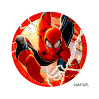 MARVEL：スパイダーマン●マグネット