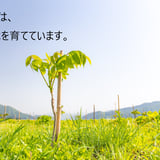 秋田県漆器工業協同組合