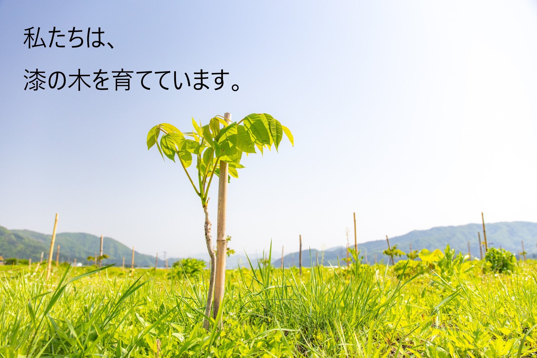 秋田県漆器工業協同組合