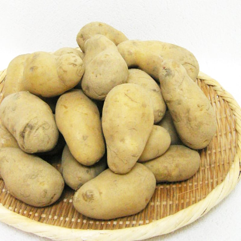 北海道産】 じゃがいも 「メークイン」 約3kg | 北海道旬得便