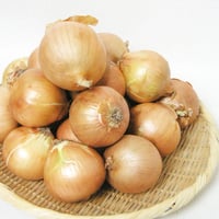 【北海道産】 たまねぎ　約5kg