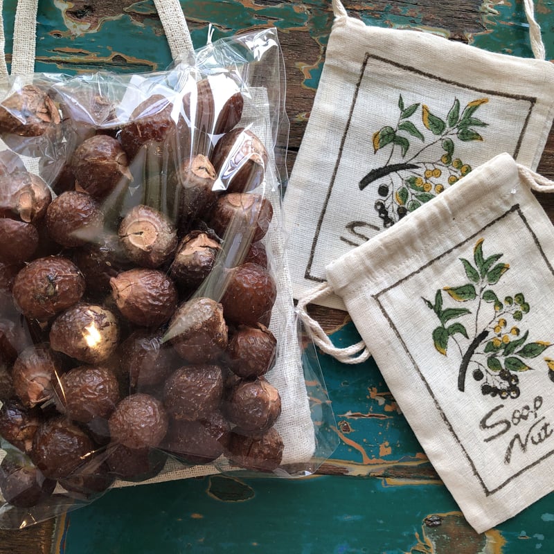 100％Natural木の実の洗剤 ソープナッツ | BIOショップ すぱいす家