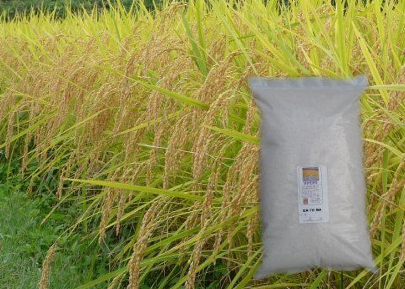 令和6年産> 農薬不使用 佐渡コシヒカリ (在来種)玄米 5kg 令和6年産> 農薬不使用 佐渡コシヒカリ (在来種)玄米 5kg