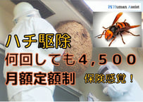 茨城県 ハチ駆除 3,000 月額制 県内家族の家もOK