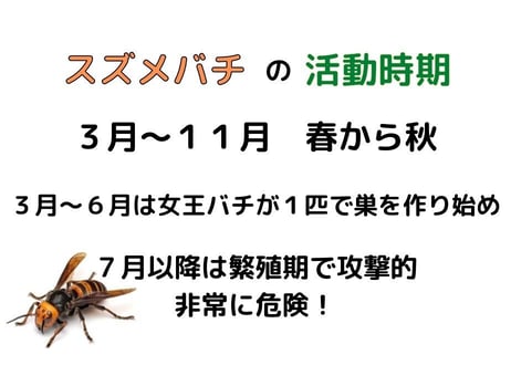 茨城県 ハチ駆除 ３,０００　月額制　県内家族の家もOK！