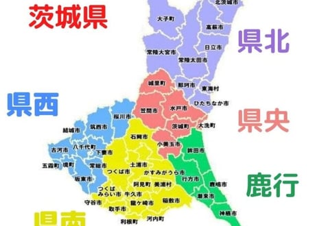 茨城県 ハチ駆除 ３,０００　月額制　県内家族の家もOK！