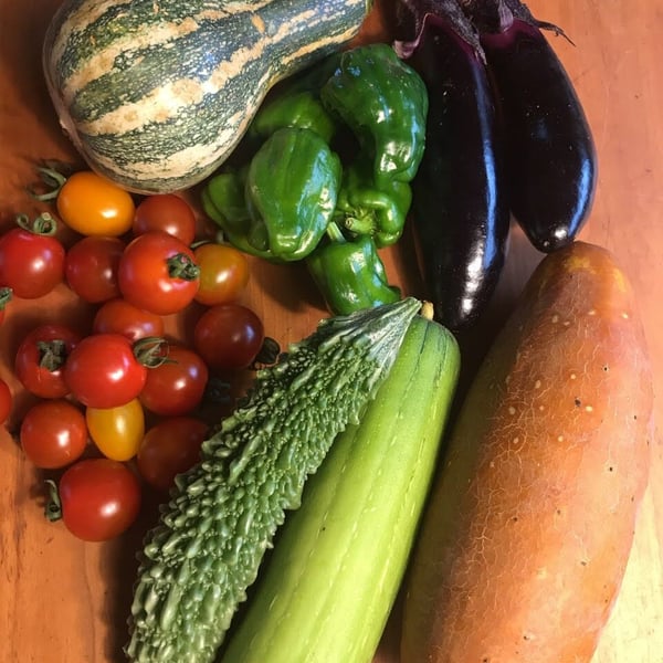 かえる農園 雄かえるの商品一覧｜note 