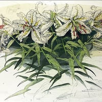 西村直之、【リサの肖像】、希少な大判額装用画集より、美品、日本人