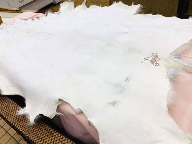 北海道産エゾ鹿毛皮ラグ（敷物）(約146cmx約100cm)※送料無料 | 北海道