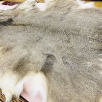 北海道産エゾ鹿毛皮ラグ（敷物）(約124cmx約90cm)※送料無料 | 北海道