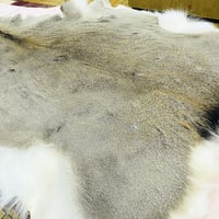北海道産　鹿　毛皮　ラグ　マット　140×120 値下げ交渉あり 北海道産エゾ鹿毛皮ラグ（敷物）(約140cmx約110cm)※送料無料