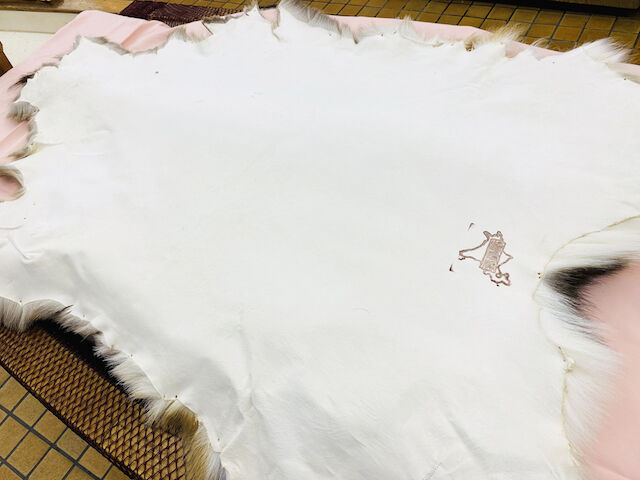 北海道産エゾ鹿毛皮ラグ（敷物）(約124cmx約90cm)※送料無料 | 北海道