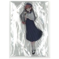 SSSS.GRIDMAN オンラインくじ A-1賞 ロングタペストリー 宝多