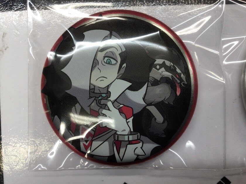 ポケモン ガラル地方 缶バッジ ネズ タチフサグマ | K-BOOKS 秋葉原