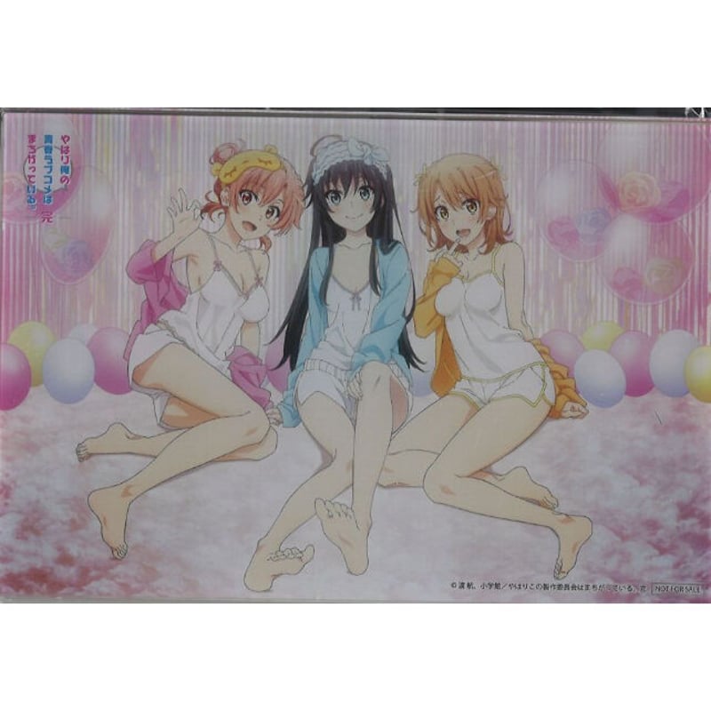 未開封）やはり俺の青春ラブコメはまちがっている。完 第二回 総武高校