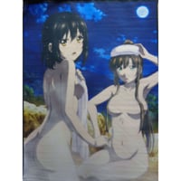 【通販専売】ストライク・ザ・ブラッド FINAL OVA ゲーマーズ全巻購入特典 B2タペストリー