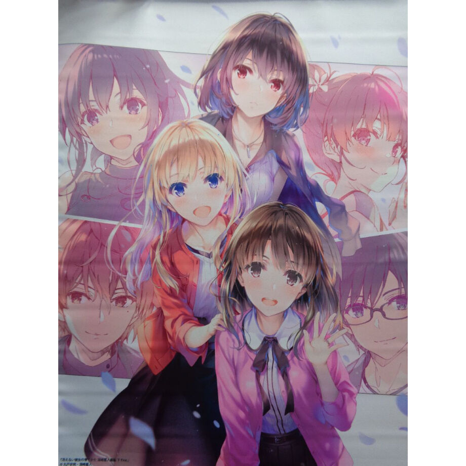 冴えない彼女の育てかた 深崎暮人画集 下 Fine. ANIPLEX+限定バンドル